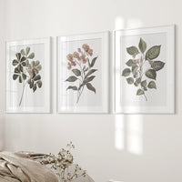 Rustic Botanical Wall Art. Vintage Flowers Prints