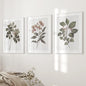 Rustic Botanical Wall Art. Vintage Flowers Prints