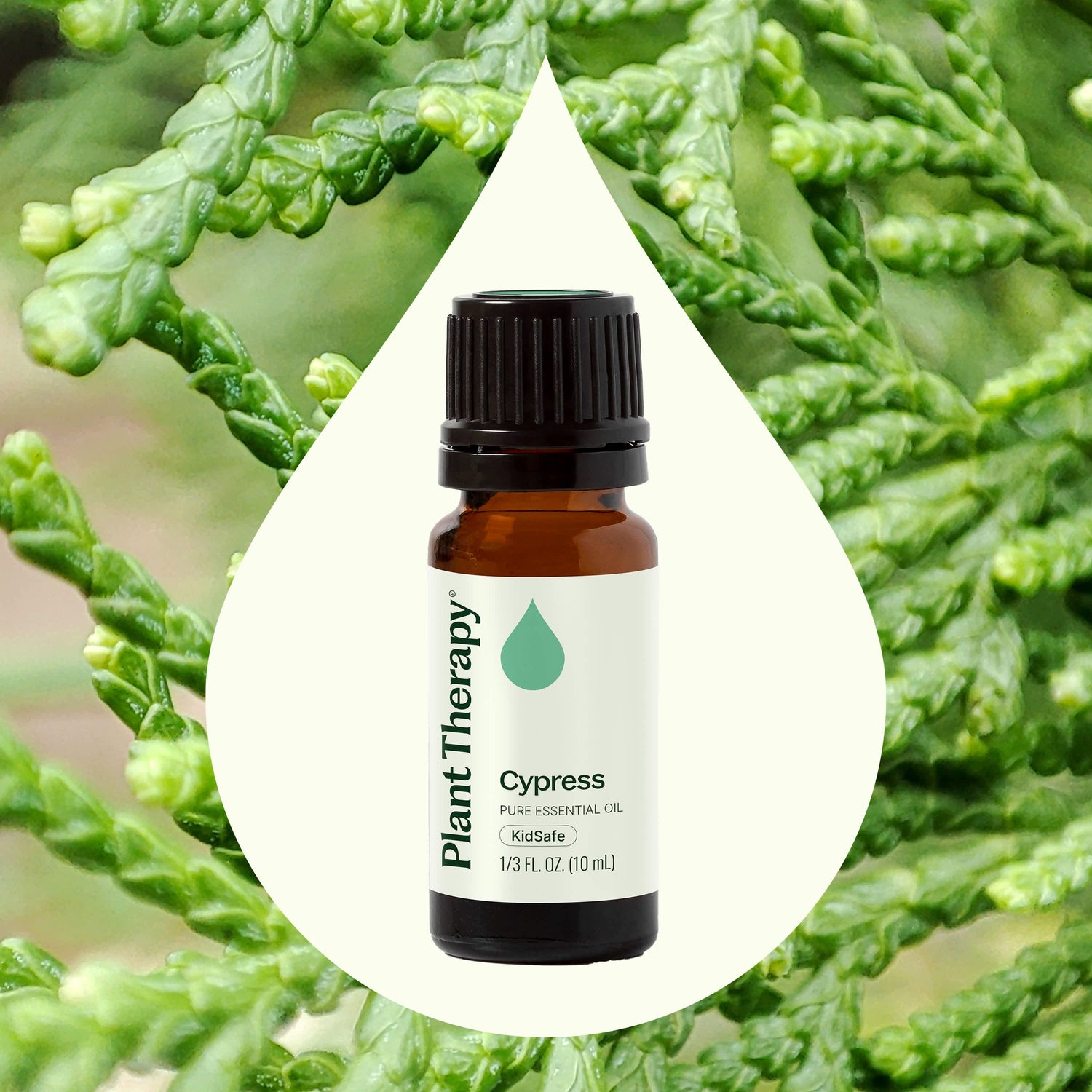 Cypress Essential Oil