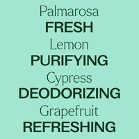 Deodorizing Powder