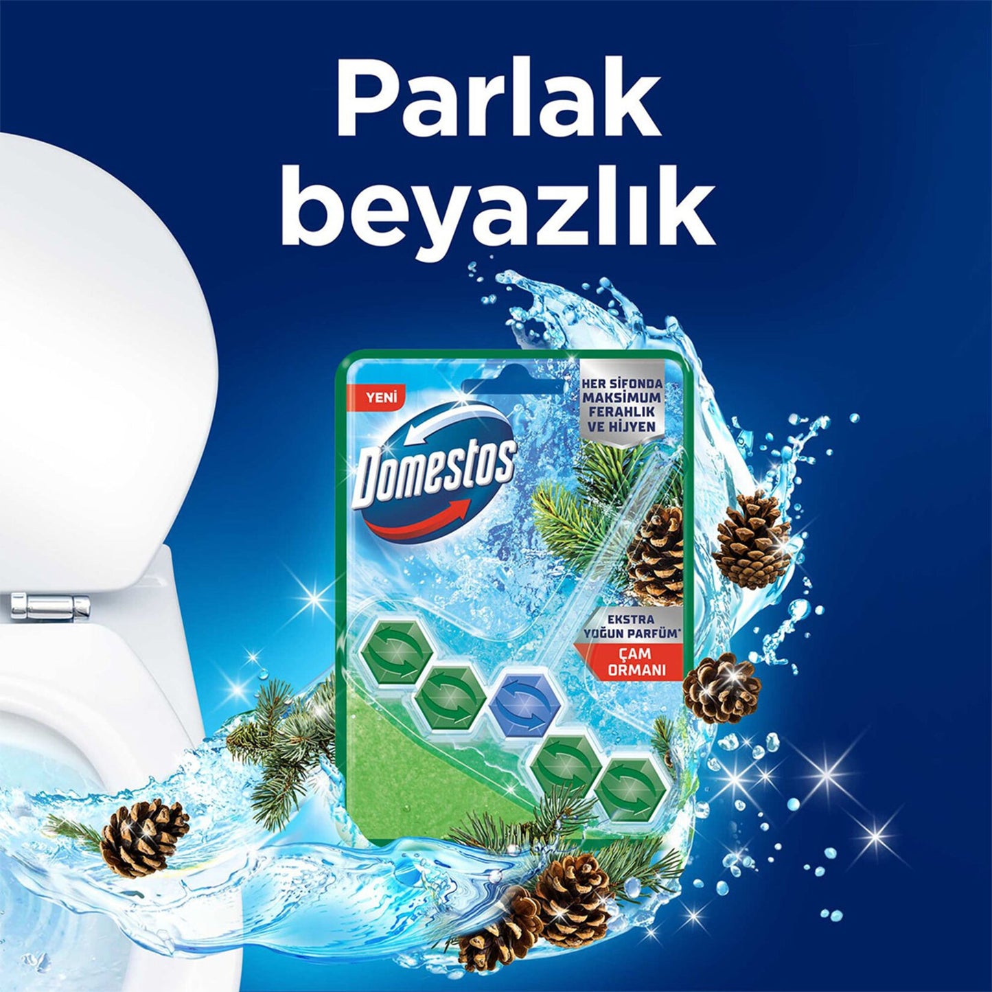 Domestos Wc Block Pine 50G
