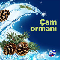 Domestos Wc Block Pine 50G
