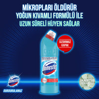 Domestos Bleach Eucalyptus 750
