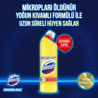 Domestos Bleach Lemon 750Ml