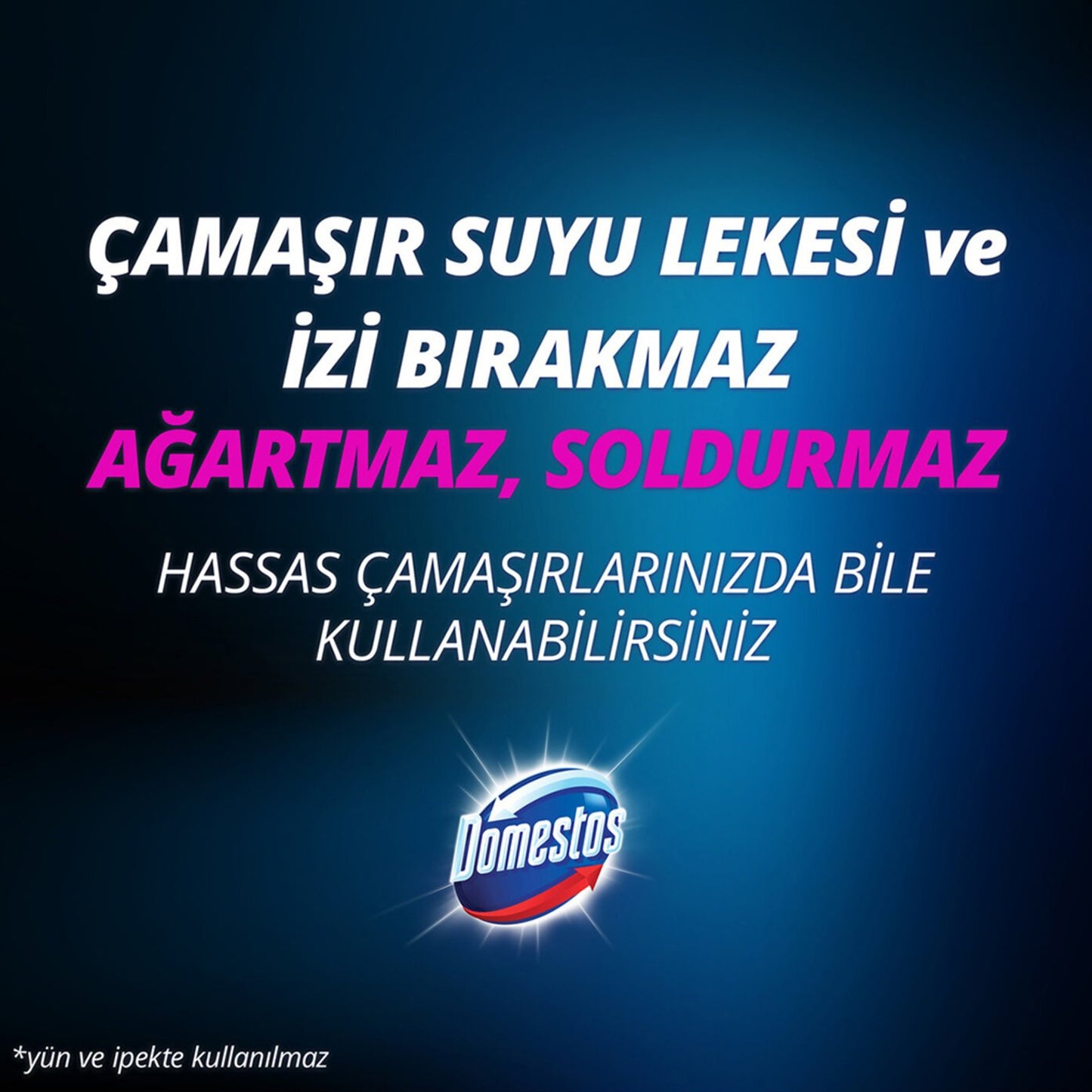 Domestos Stain Remover 1Lt
