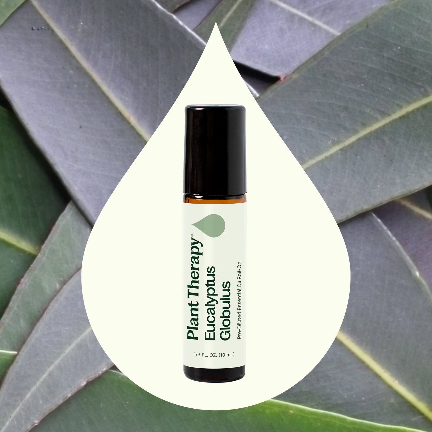 Eucalyptus Globulus Essential Oil Pre-Diluted Roll-On