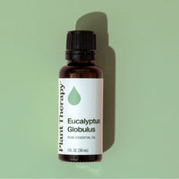 Eucalyptus Globulus Essential Oil