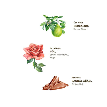 Eyup Sabri Tuncer Cologne Magnolia Flower 150Ml
