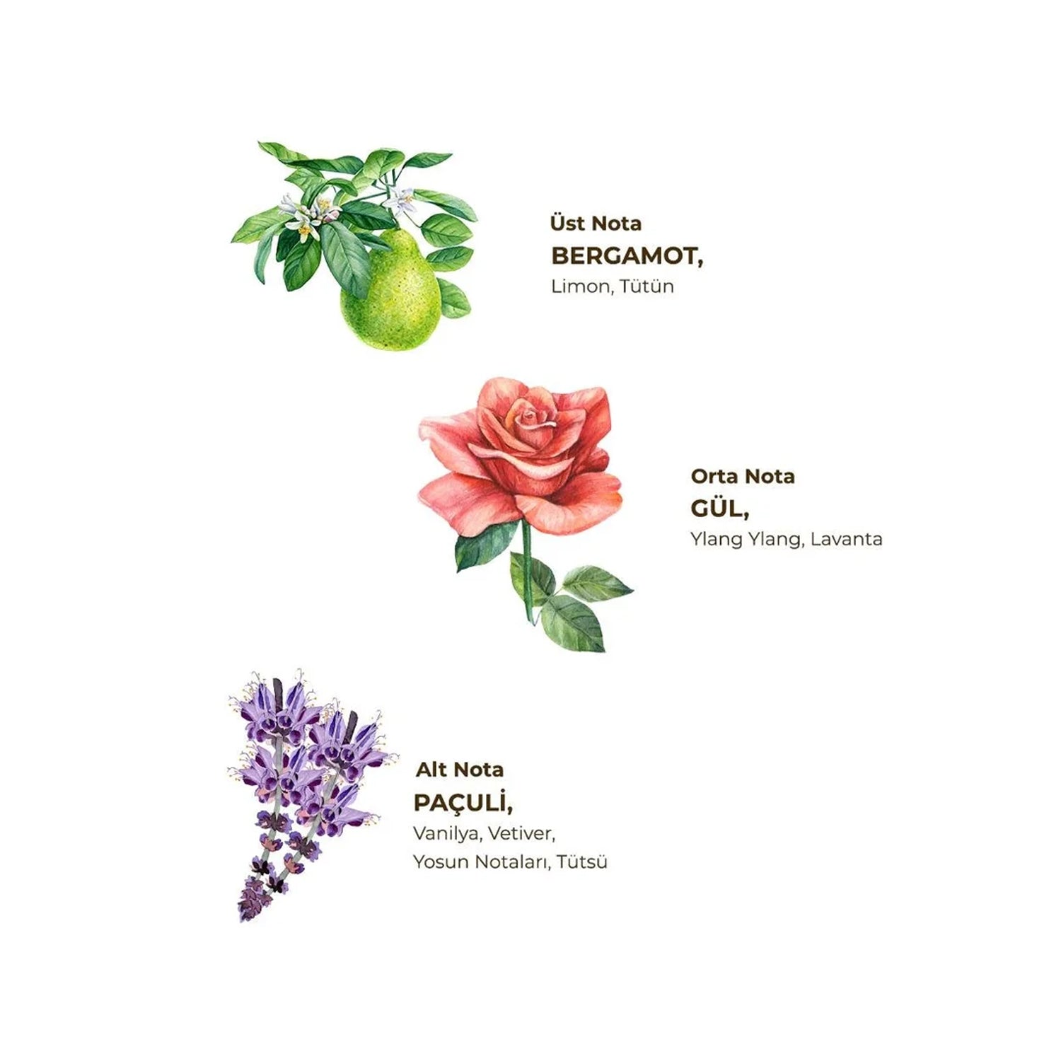 Eyup Sabri Tuncer Cologne Tobaco 150