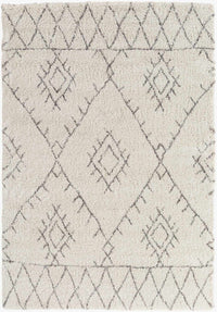 Flintville Moroccan Shag Area Rug - Clearance