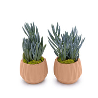 Concrete Mini Flute Tabletop Planters (Set of 2)