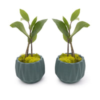 Concrete Mini Flute Tabletop Planters (Set of 2)