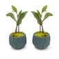 Concrete Mini Flute Tabletop Planters (Set of 2)