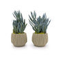 Concrete Mini Flute Tabletop Planters (Set of 2)