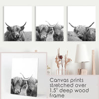Black White Highland Cow Photo. 3 Piece Wall Art