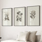 Antique Floral Prints 3 Piece Wall Art Decor