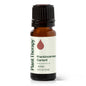 Frankincense Carterii Essential Oil