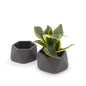 Concrete Mini Genna Tabletop Planters (Set of 2)