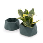 Concrete Mini Genna Tabletop Planters (Set of 2)