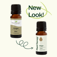 Ginger Essential Oil