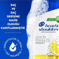 H&S Shampoo Citrus 360Ml