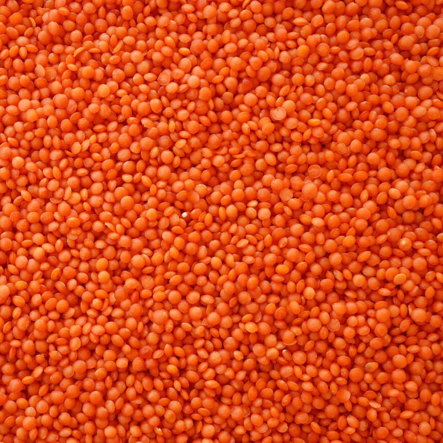 Hasata Red Lentil 1Kg