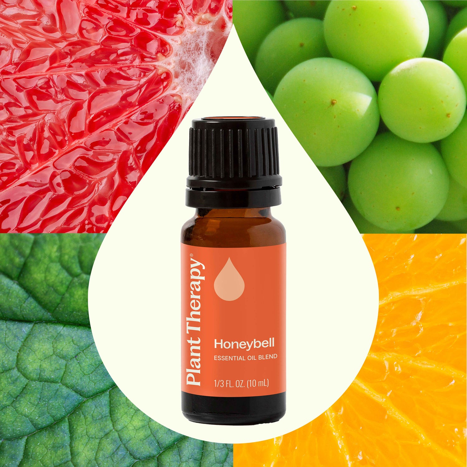 Honeybell Essential Oil Blend