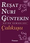Çalıkusu