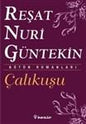 Çalıkusu