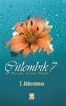 Çitlembik -7 / Her Gün Yeniden Doğmak