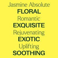 Jasmine Sambac Absolute
