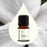 Jasmine Grandiflorum Absolute