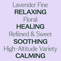 Lavender Fine Essential Oil
