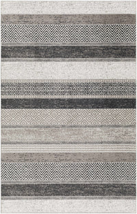Middlestown Washable Area Rug