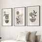 3 Piece Boho Wall Art Prints. Green Mid-Century Abstract Decor