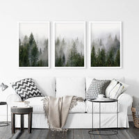 Green Pine Tree Forest. Foggy Nature Wall Art Prints