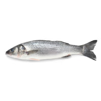 Moda Branzino-Sea Bass, Bulk, Fillet, 10lbs, 8-10, 24pcs -