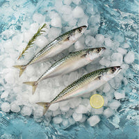 Moda Frozen Mackerel, Fillet (Uskumru Fileto), 16oz (454g)