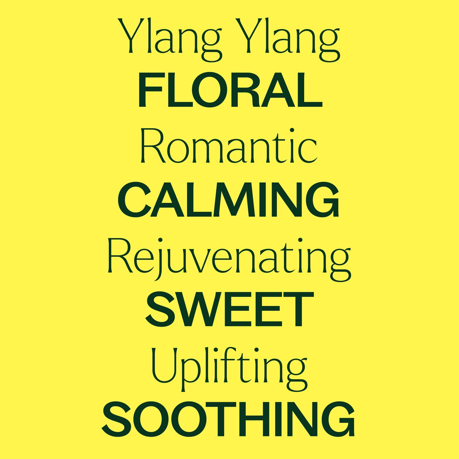 Organic Ylang Ylang Complete Essential Oil