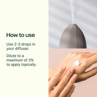 Palo Santo Essential Oil