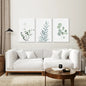 Watercolor Botanical Set of 3 Prints Wall Decor