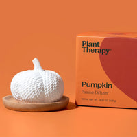 Pumpkin Passive Diffuser