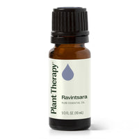 Ravintsara Essential Oil