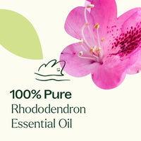 Rhododendron Essential Oil