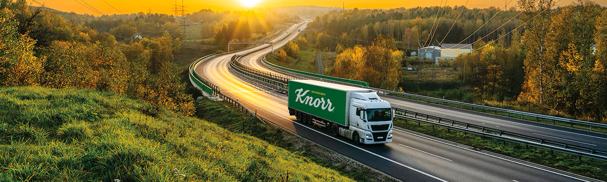 Knorr