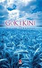 Gok Ekini