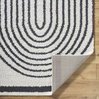 Bauer Plush Black Rainbow Rug - Clearance