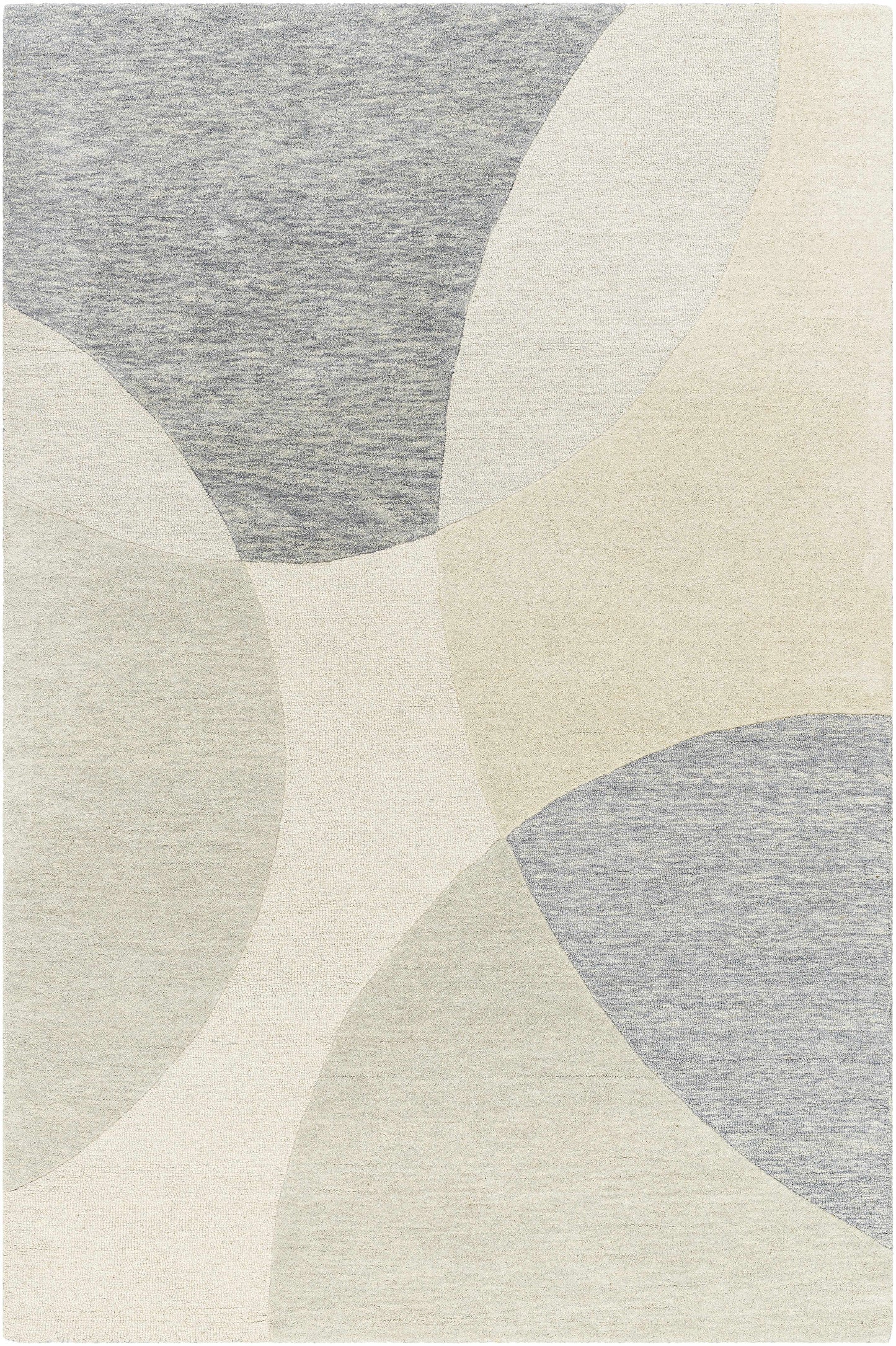 Cassiopeia Gray & Beige Area Rug