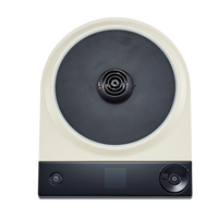 Luna Electric Kettle Pro