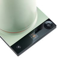 Luna Electric Kettle Pro